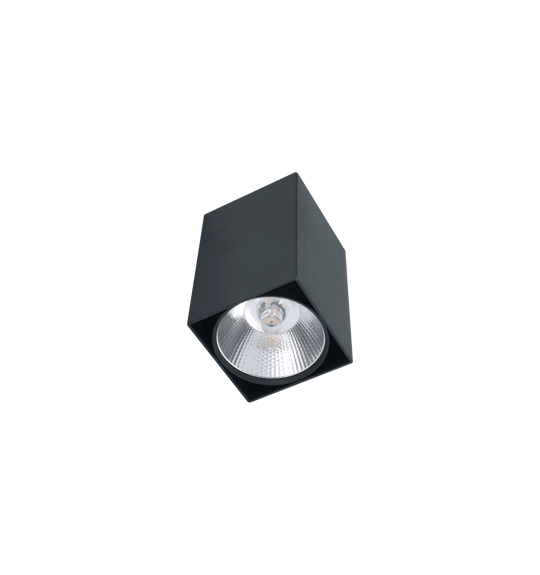 4133 Spot Armatür