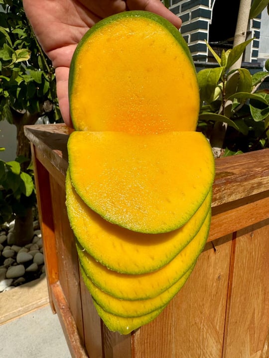 YERLİ MANGO 1 ADET ( 300-500GR )
