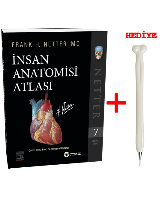 Netter İnsan Anatomisi Atlası
