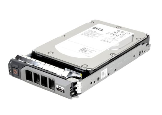 Dell 12TB 3.5 7.2K 6Gbps SAS Sunucu Harddisk
