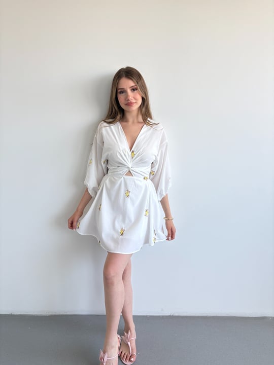 Nakışlı Mini Elbise