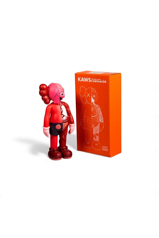 Kaws Companion