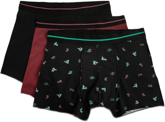 3lü Pamuklu Boxer Seti Kaktüs Baskılı