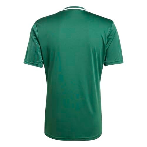 Adidas Campeon25 Jsy M Erkek Futbol Antrenman Forması JF6063 Yeşil