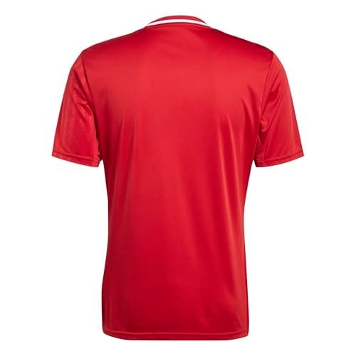 Adidas Campeon25 Jsy M Erkek Futbol Antrenman Forması JF6058Kırmızı