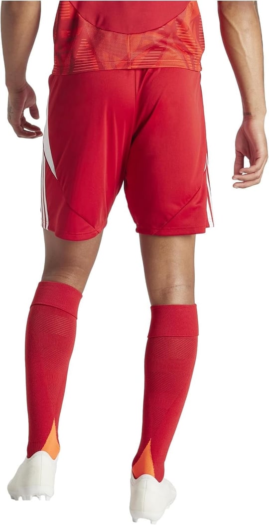 Adidas Tiro24 Sho Erkek Şort