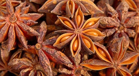Aktar Diyarı Yıldız Anason 100 Gr, BHR-ADY30902