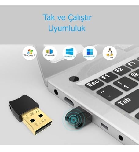 AL-BL5.3 Bluetooth V5.3 Usb Mini Bluetooth Adaptör Dongle 20Mt Kablosuz Adaptör ( ÇOKLU CİHAZ DESTEĞİ SAĞLAR ) Win7/8/10/11 Tak Çalıştır ( PC İçindir) - Seçenekler: BL-5.3, 300M+Bluetooth