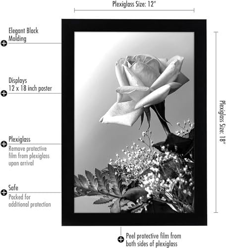 Americanflat Cilalı Pleksiglas ile 12x18 Poster Çerçevesi - Epik Koleksiyon - Ahşap Galeri Duvar Çerçeveleri - Duvar Ekranı için Fotoğraf Çerçevesi - Siyah