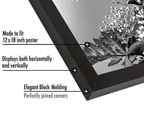 Americanflat Cilalı Pleksiglas ile 12x18 Poster Çerçevesi - Epik Koleksiyon - Ahşap Galeri Duvar Çerçeveleri - Duvar Ekranı için Fotoğraf Çerçevesi - Siyah