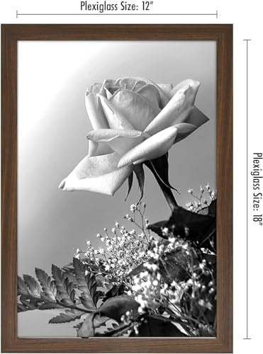 Americanflat Maun içinde 12x18 Poster Çerçevesi - Tasarlanmış Ahşap Çerçeve ve Cilalı Pleksiglas Kapaklı Fotoğraf Çerçevesi - Dahili Asma Donanımı ile Duvar için Yatay ve Dikey Formatlar
