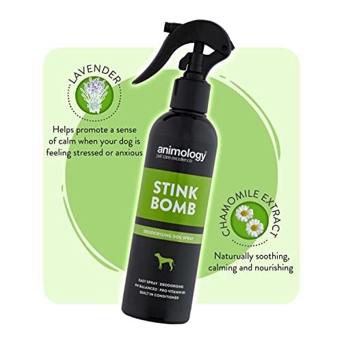 Animology Stink Bomb Ferahlatıcı Köpek Spreyi 250 Ml