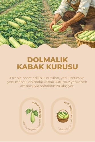 ANTEP PAZARI DOLMALIK KABAK KURUSU (ADET, 25)