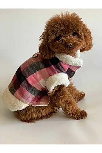 Aria Pet Boutique Köpek Mont Yelek 02 (X-Small)