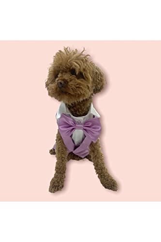 Aria Pet Boutique Köpek Yazlık Smokin Ceket Papyon Yelek (Large)