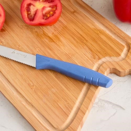 Aryıldız Primo Domates Bıçağı İndigo 10 cm