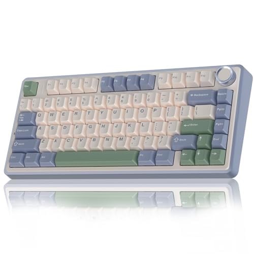 Aula F75 Mekanik RGB TKL Reaper Switch Kablosuz Makrolu Hot Swap Klavye Pastel