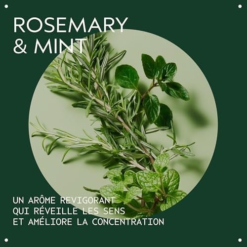 AVEDA Rosemary Mint Purifying Shampoo Arındırıcı Şampuan 1000ml