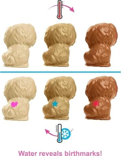 Barbie ve Hayvan Dostları Barbie ve Hayvan Dostları Oyun Seti, köpek, 3 yavru köpek ve aksesuarlar, 3-7 yaş HCK75