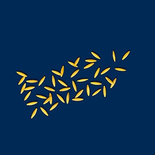 Barilla Arpa Şehriye (Risoni) 500 g. (3 paketi)