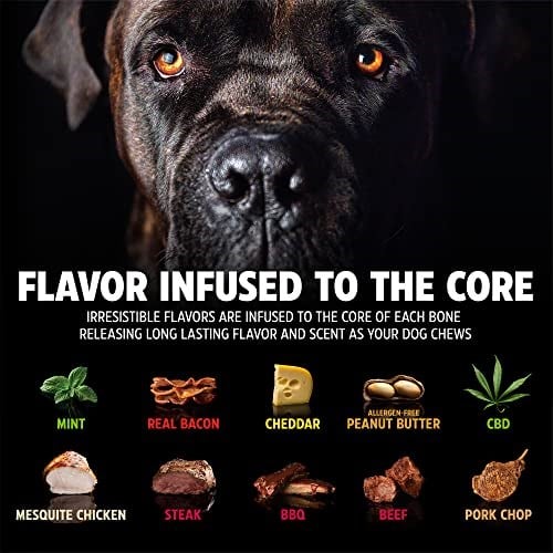 BarkBone Köpek Çiğneme Kemiği (Small) – Nane Aromalı, Bitmeyen Dayanıklı Oyuncak – Alerjensiz, Diş Temizleyici, Stres Azaltıcı Naylon Kemik - Seçenekler: Küçük, Küçük (2 paketi)
