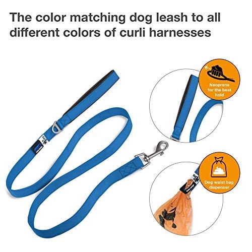 Basic Leash Blue M - Bedenler: L (2 paketi), M, L