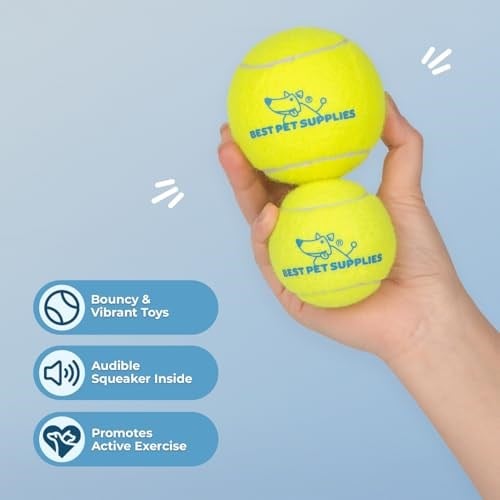 Best Pet Supplies Köpekler için Gıcırtılı Tenis Oyuncakları, 4lü Paket, Atmak ve Getirmek için Ağır Hizmet İnteraktif Evcil H - Seçenekler: Large (Pack of 2), Small (Pack of 4), Medium (Pack of 4)...