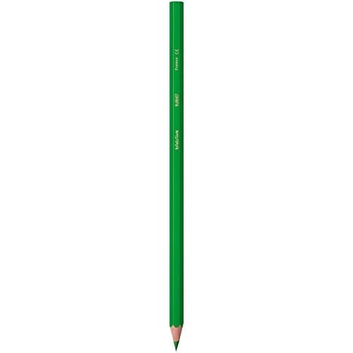 BIC Kids Evolution Kuru Boya Kalemi 12li Metal Tüp, Kıymık Oluşturmaz, Çiğnemeye Karşı Dayanıklı, Kolay Açılır