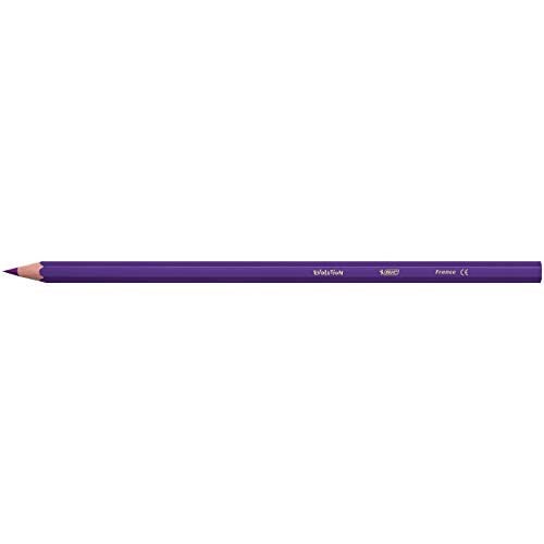 BIC Kids Evolution Kuru Boya Kalemi 12li Metal Tüp, Kıymık Oluşturmaz, Çiğnemeye Karşı Dayanıklı, Kolay Açılır