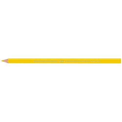 BIC Kids Evolution Üçgen Jumbo Boya Kalemi 13lü Metal Tüp, Üçgen Tasarım, Kıymık Oluşturmaz, Çiğnemeye Karşı Dayanıklı