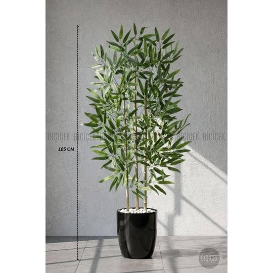 Biçiçek 110 Cm Bambu Ağacı Yakut Saksıda Siyah