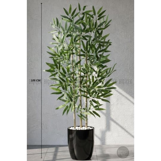 Biçiçek 110 Cm Bambu Ağacı Yakut Saksıda Siyah