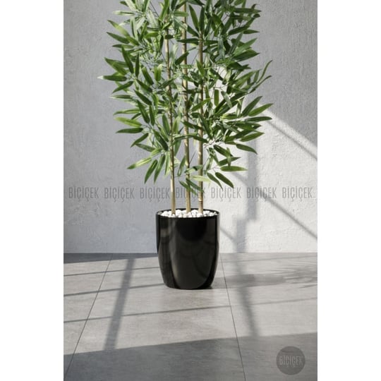 Biçiçek 110 Cm Bambu Ağacı Yakut Saksıda Siyah
