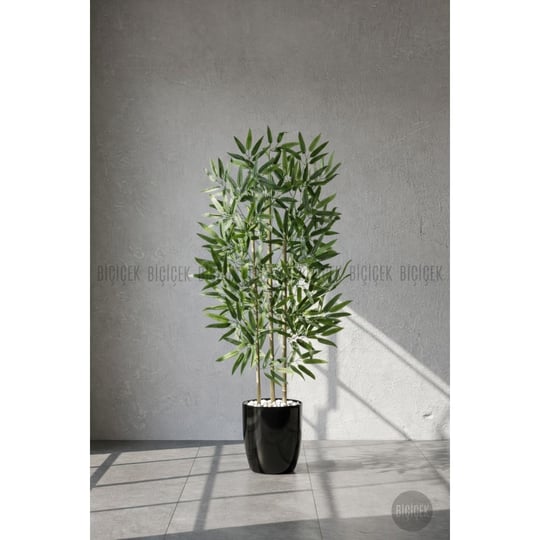 Biçiçek 110 Cm Bambu Ağacı Yakut Saksıda Siyah