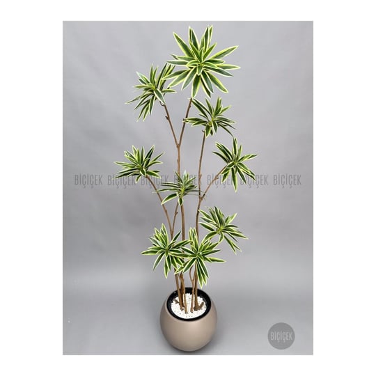 Biçiçek 160 Cm Dragon Bitkisi Yapay Dracaena Küre Saksıda Kahverengi1