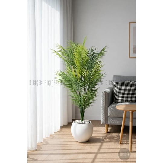 Biçiçek Areka Ağaci 24 Yaprakli 130 Cm Küre Saksida Beyaz