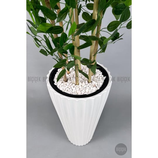 Biçiçek Yapay Bambu Ve Benjamin 6 Dallı Yoğun Yapraklı 220 Cm Beyazbenjami̇n