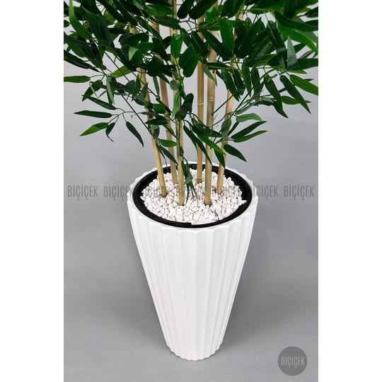 Biçiçek Yapay Bambu Ve Benjamin 6 Dallı Yoğun Yapraklı 220 Cm Beyazbambu
