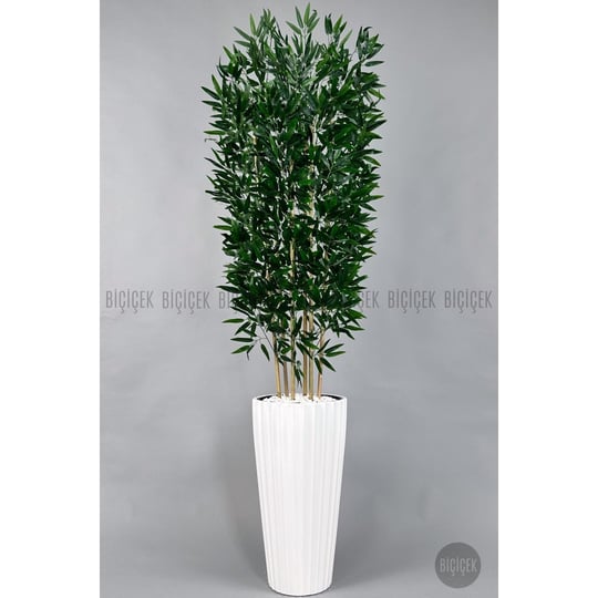 Biçiçek Yapay Bambu Ve Benjamin 6 Dallı Yoğun Yapraklı 220 Cm Beyazbambu