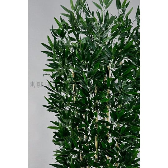 Biçiçek Yapay Bambu Ve Benjamin 6 Dallı Yoğun Yapraklı 220 Cm Beyazbambu