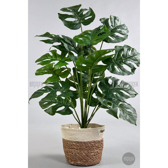 Biçiçek Yapay Monstera Deve Tabanı 65-70 Cm Hasir3
