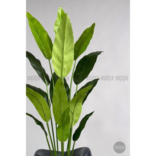 Biçiçek Yapay Starliçe Ağacı 140-170 Cm Siyah1