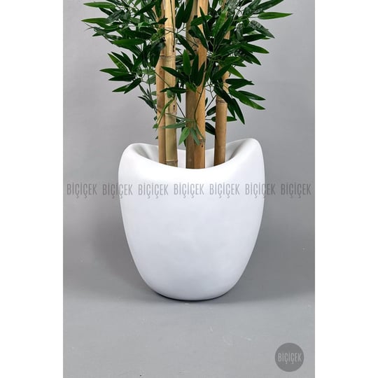 Biçiçek Zen Bambu Ağacı 220-240 Cm Fiber Saksıda Beyazfiber2