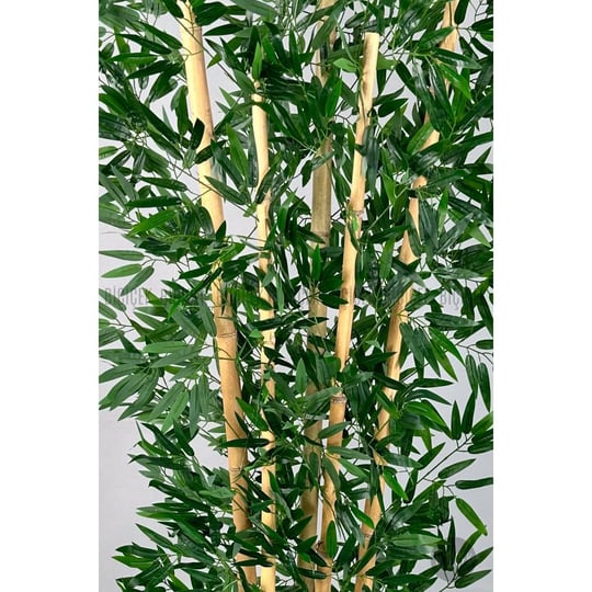 Biçiçek Zen Bambu Ağacı 220-240 Cm Fiber Saksıda Grifiber1