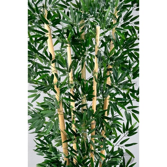 Biçiçek Zen Bambu Ağacı 220-240 Cm Fiber Saksıda Grifiber2