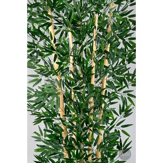 Biçiçek Zen Bambu Ağacı 220-240 Cm Fiber Saksıda Siyahfiber1