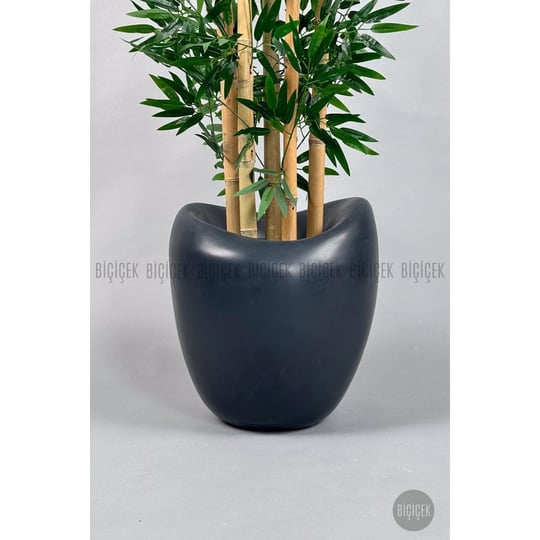 Biçiçek Zen Bambu Ağacı 220-240 Cm Fiber Saksıda Grifiber2