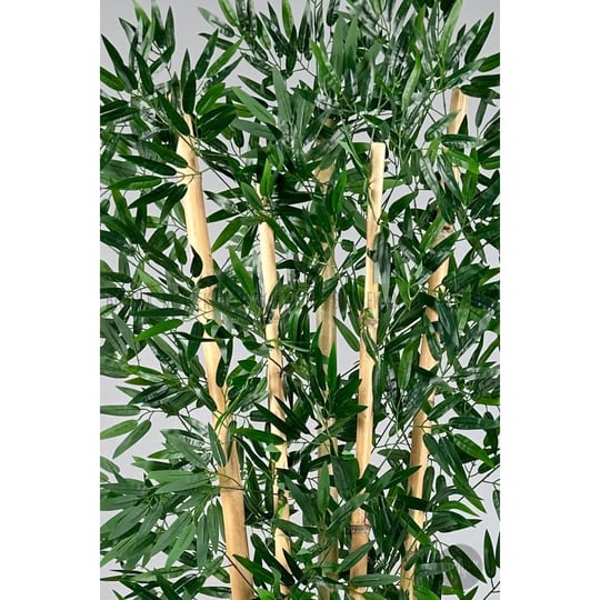 Biçiçek Zen Bambu Ağacı 220-240 Cm Fiber Saksıda Beyazfiber2