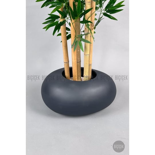 Biçiçek Zen Bambu Ağacı 220-240 Cm Fiber Saksıda Grifiber1