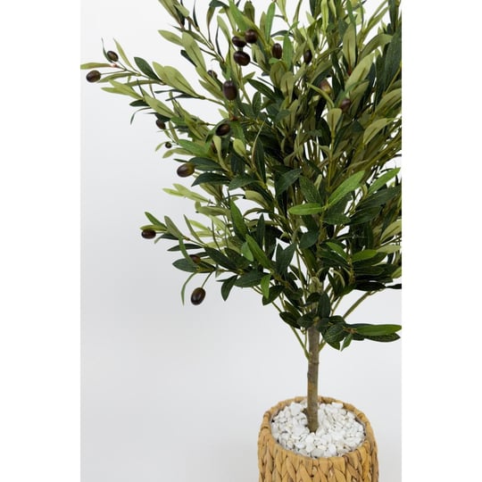Biçiçek Zeytin Ağacı 100 Cm Hasır Bohem2 Saksıda